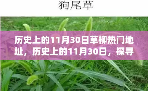 飛鳥驚蛇 第2頁
