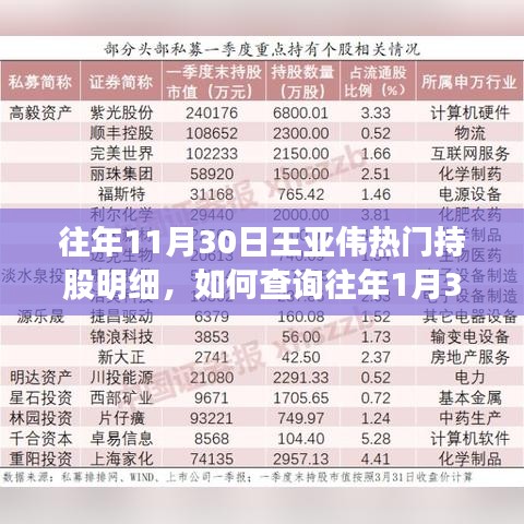 王亞偉往年持股明細查詢指南，如何查看往年1月30日熱門持股明細詳細步驟解析