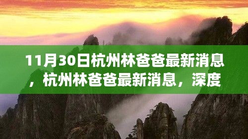 杭州林爸爸最新消息解析，各方觀點與個人立場深度探討