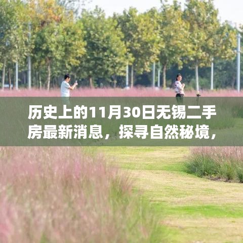 探尋自然秘境，無錫二手房市場最新動態與心靈之旅