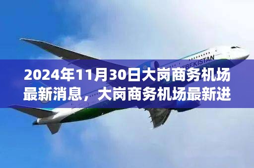 獨家解析，大崗商務機場最新進展與消息，深度解讀其未來展望（截至2024年11月30日）