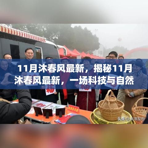 揭秘，科技與自然的和諧交融之旅——11月沐春風最新報道