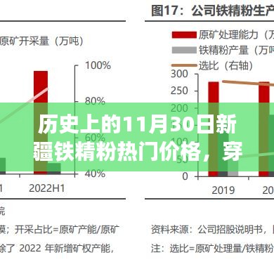 探尋新疆鐵精粉背后的自然秘境，歷史價(jià)格回顧與心靈之旅的啟示