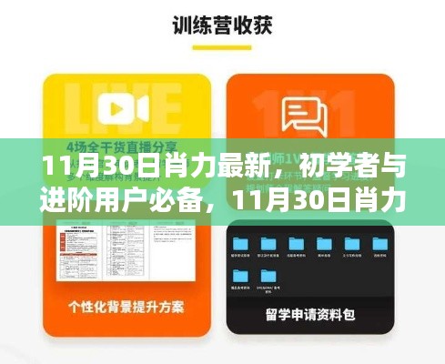 初學者與進階用戶必備，肖力最新技能學習全攻略（11月30日更新版）