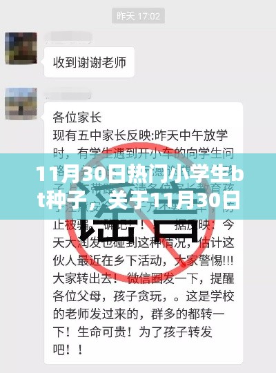 11月30日熱門小學(xué)生BT種子，虛假信息評測與警示