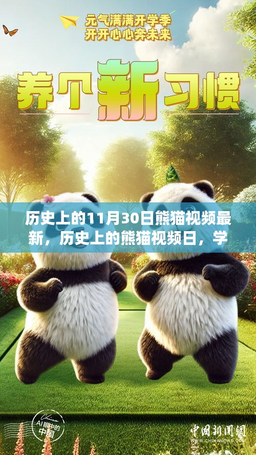 歷史上的熊貓視頻日，共成長與學習變化的自信閃耀