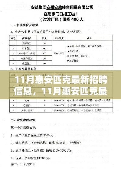 11月惠安匹克最新招聘信息全面解析與介紹