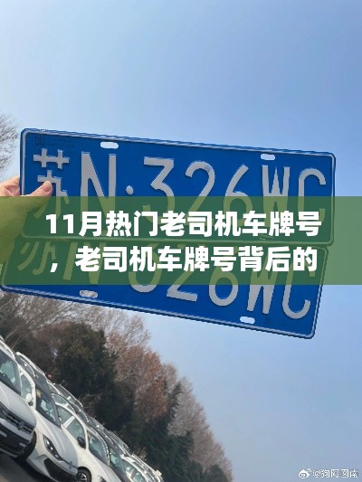 老司機車牌號背后的故事，秋日旅程中的溫情與熱門車牌揭秘