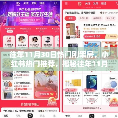揭秘，往年11月30日火爆剛架房的獨特魅力與小紅書熱門推薦榜單！