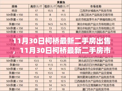 柯橋最新二手房市場深度解析與優(yōu)選房源推薦