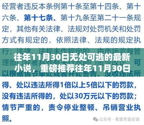 往年11月30日無處可逃，最新小說重磅推薦與震撼來襲