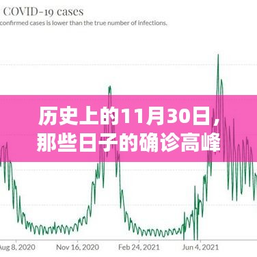 2024年12月 第1104頁