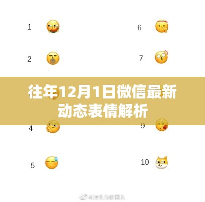 微信最新動態表情解析，揭秘往年12月1日的秘密趨勢