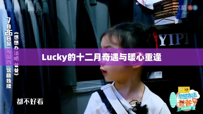 Lucky的十二月奇遇與暖心重逢，溫馨故事回顧
