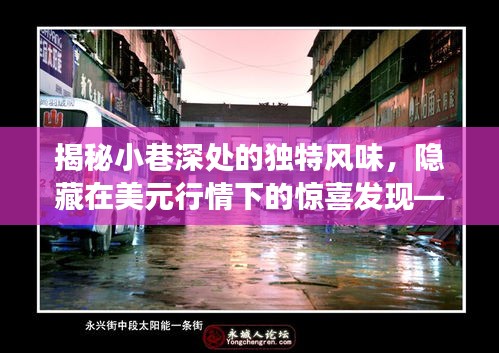 美元行情下的驚喜發現，小巷深處的獨特風味探索之旅