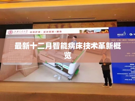 2024年12月 第1103頁
