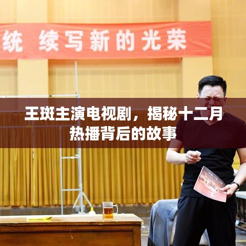 王斑主演電視劇揭秘，十二月熱播背后的故事探秘