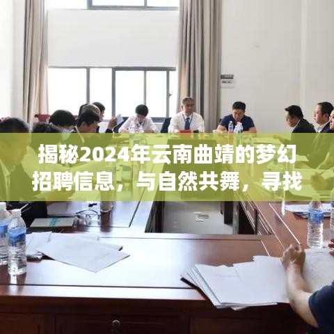 揭秘夢幻招聘之旅，云南曲靖尋找內心寧靜與自然共舞之旅的職場夢想家招募啟事