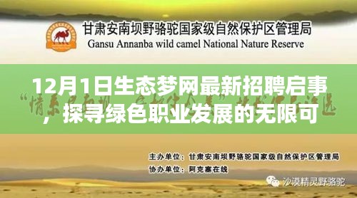 生態夢網招聘啟事，探尋綠色職業發展的無限潛力