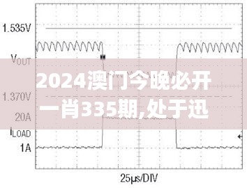 2024澳門今晚必開一肖335期,處于迅速響應執行_MTF46.266觸感版