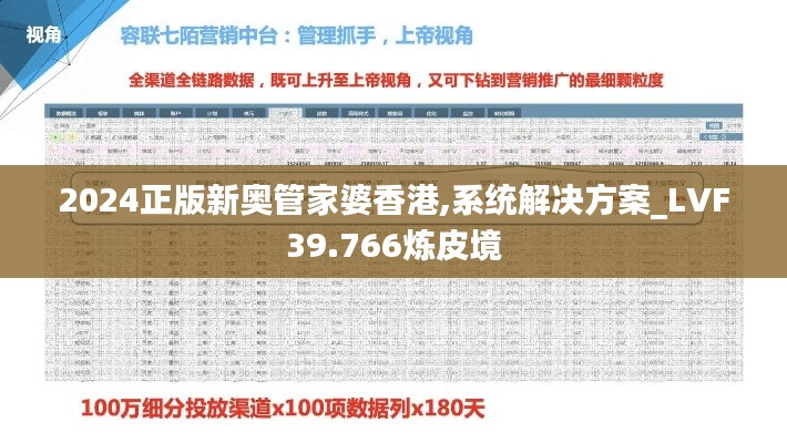 2024正版新奧管家婆香港,系統解決方案_LVF39.766煉皮境