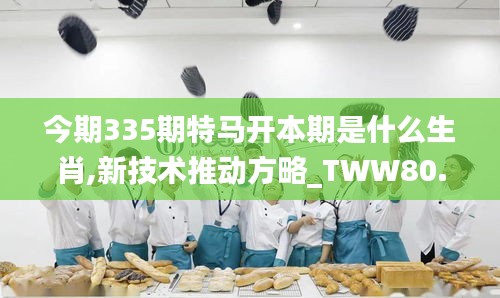 今期335期特馬開本期是什么生肖,新技術推動方略_TWW80.328按需版