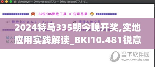 2024特馬335期今晚開獎(jiǎng),實(shí)地應(yīng)用實(shí)踐解讀_BKI10.481銳意版