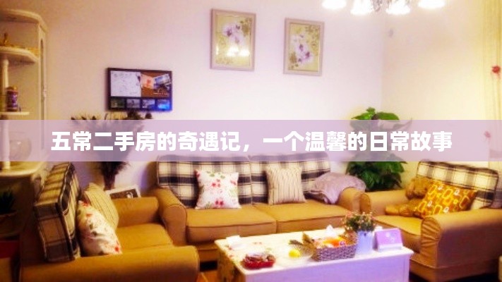 五常二手房奇遇記，溫馨日常故事開啟篇章