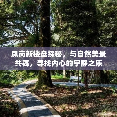 鳳崗新樓盤探秘，與自然美景共舞，內心寧靜之樂尋蹤