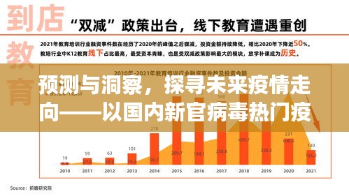 預測與洞察，2024年視角下的國內新冠病毒疫情走向探析