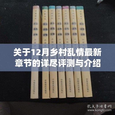 12月鄉(xiāng)村亂情最新章節(jié)深度評測與介紹