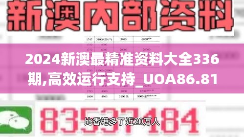 2024新澳最精準資料大全336期,高效運行支持_UOA86.814Phablet