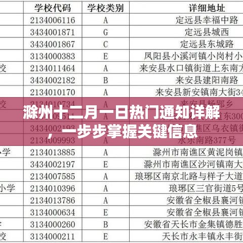 滁州十二月一日熱門通知詳解，掌握關鍵信息步驟指南
