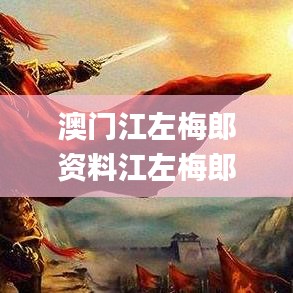 澳門江左梅郎資料江左梅郎網,決策信息解釋_DLQ63.750豐富版