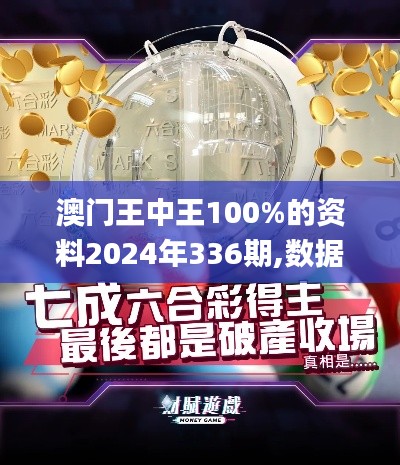 澳門王中王100%的資料2024年336期,數據詳解說明_JEU34.523薪火相傳版