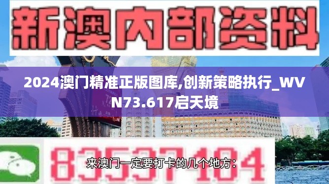 2024澳門精準正版圖庫,創新策略執行_WVN73.617啟天境