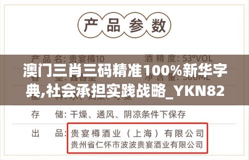 澳門三肖三碼精準100%新華字典,社會承擔實踐戰(zhàn)略_YKN82.991影像版