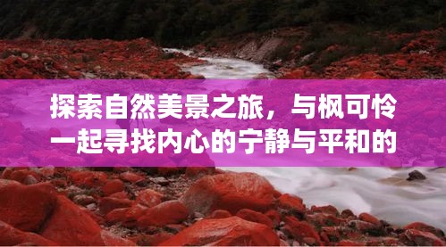 楓可憐的心靈之旅，探尋自然美景中的寧?kù)o與奇跡