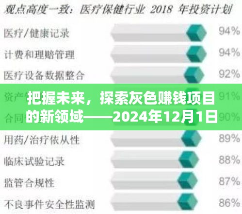 把握未來機遇，探索灰色賺錢項目新領域——挑戰與機遇并存于2024年12月的新篇章