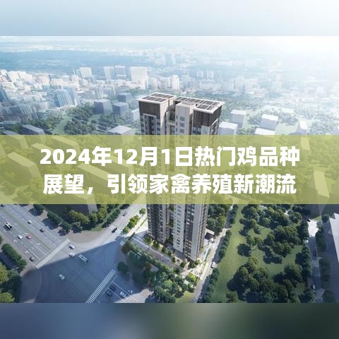 2024年熱門雞品種展望，引領家禽養殖新潮流
