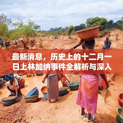 十二月一日上林加納事件深度解析與了解