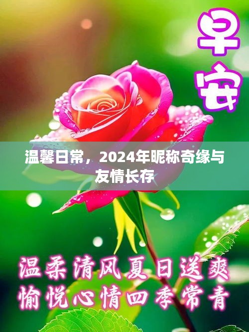 溫馨日常，2024年昵稱奇緣與友情永恒長存