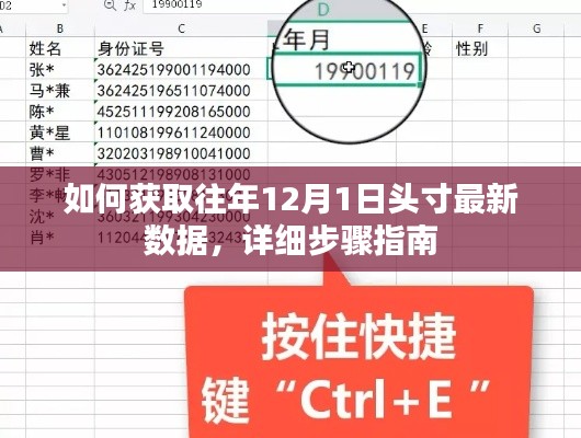 獲取往年12月1日頭寸最新數據的詳細步驟指南