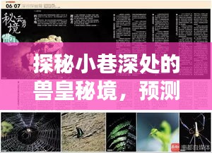 探秘小巷深處的獸皇秘境，預測歐美熱門獸皇，獨特風情等你來領略——一家不為人知的小店揭秘之旅