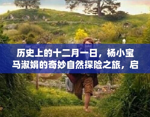 楊小寶馬淑娟的十二月一日奇妙探險之旅，尋找心靈綠洲