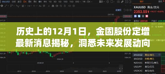 金固股份定增最新動態(tài)揭秘，洞悉歷史與未來發(fā)展動向的12月1日觀察