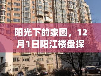 陽光下的家園探秘之旅，陽江樓盤探秘與友情溫暖相聚的12月1日記憶