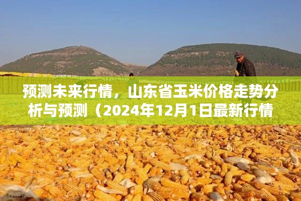 山東省玉米價格走勢分析與預測，未來行情展望（截至2024年12月最新行情）