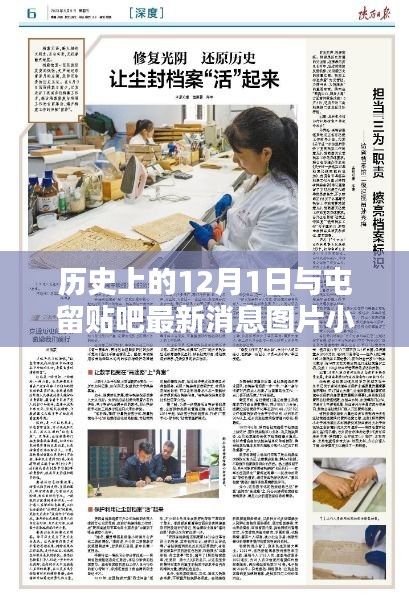 2024年12月 第1044頁