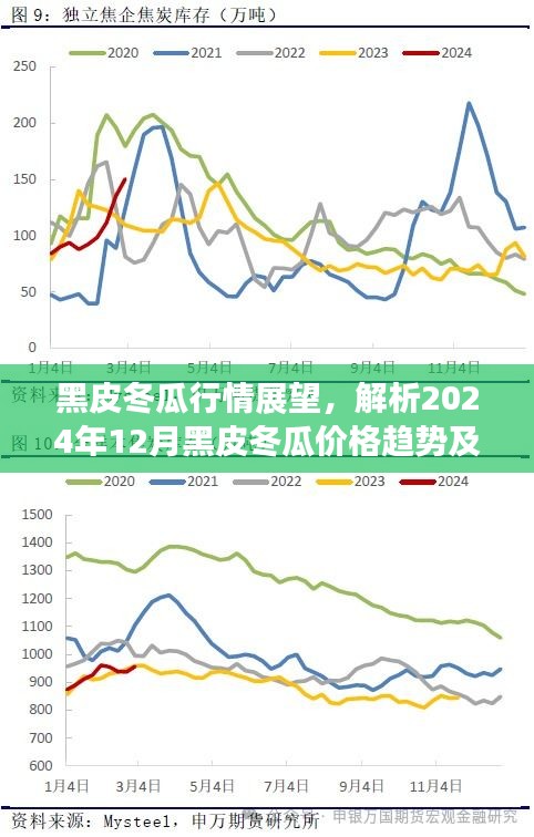 黑皮冬瓜行情展望，揭秘2024年12月價格趨勢與體驗評測